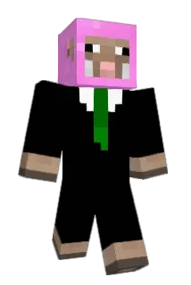 leesboys Minecraft avatar full body