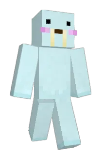 leeye145 Minecraft avatar full body
