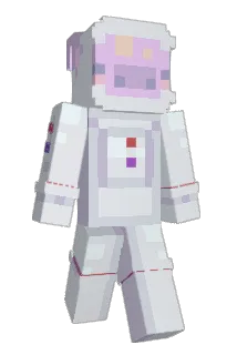 legodon Minecraft avatar full body