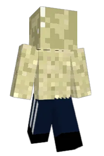 legsomile Minecraft avatar full body