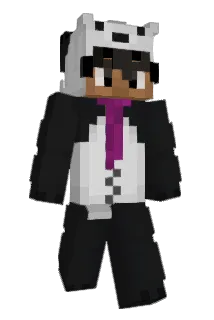 leikeze26 Minecraft avatar full body