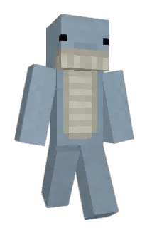 leonim123 Minecraft avatar full body