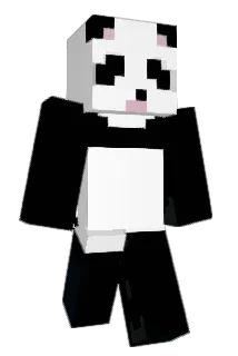 leoninja24 Minecraft avatar full body