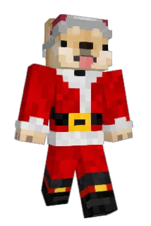 leopvp11 Minecraft avatar full body