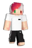 lequim Minecraft avatar full body
