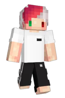 lequim Minecraft avatar full body