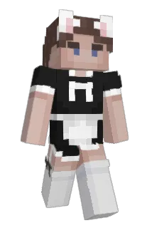 les153 Minecraft avatar full body