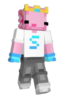 leswim Minecraft avatar full body