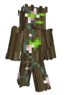 levilenity Minecraft avatar full body