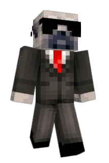lexiboo0121 Minecraft avatar full body