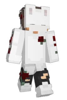 lf_xicNw_06_28 Minecraft avatar full body