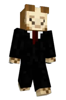 liama_001 Minecraft avatar full body
