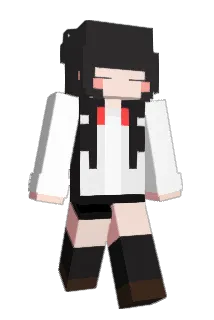 libsterlol Minecraft avatar full body