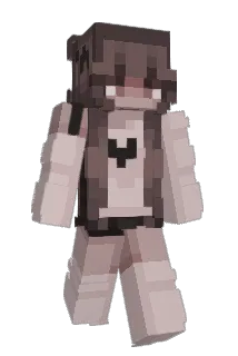 lifeofstella Minecraft avatar full body