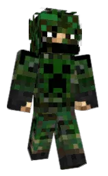Custom render preview