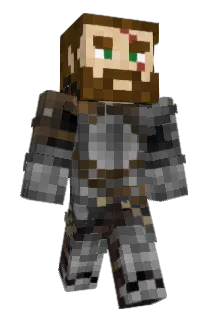 likeable Minecraft avatar full body