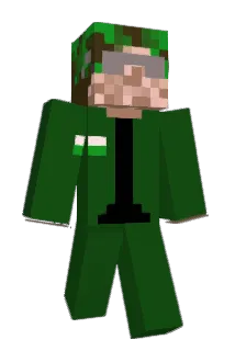likequig Minecraft avatar full body
