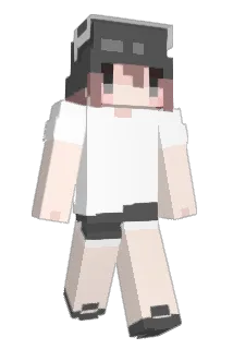 lil1li Minecraft avatar full body