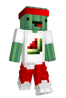 lil_fryser Minecraft avatar full body