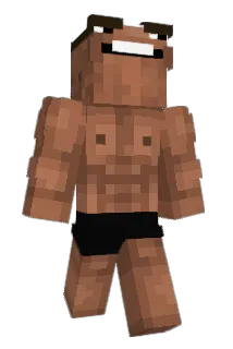 lilfrosty_ Minecraft avatar full body