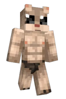lilkorai Minecraft avatar full body