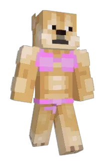 lillww Minecraft avatar full body