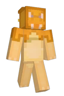 lilmaglol Minecraft avatar full body