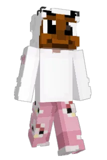 lilprins Minecraft avatar full body