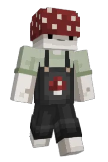 lilywertz Minecraft avatar full body