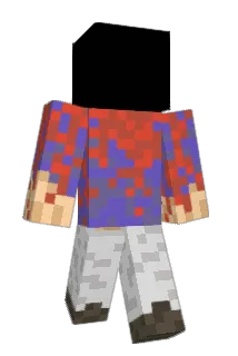 limodirection Minecraft avatar full body