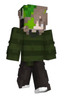 limssy Minecraft avatar full body