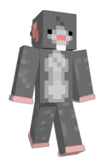 lindsay777 Minecraft avatar full body