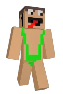 linered Minecraft avatar full body