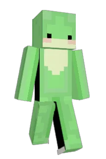 liney101 Minecraft avatar full body