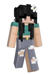 linsundae Minecraft avatar full body