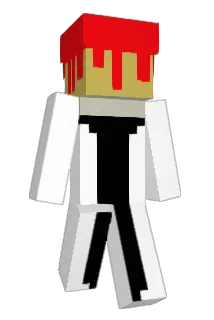 linuspinsel Minecraft avatar full body