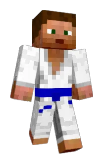 lion101008 Minecraft avatar full body