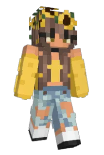 liptoes Minecraft avatar full body
