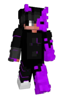 lisek9868 Minecraft avatar full body
