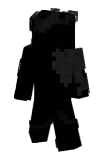 litarny Minecraft avatar full body