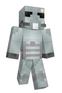 literalynoone Minecraft avatar full body