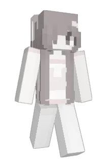 litlpaw Minecraft avatar full body