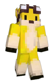 litteee Minecraft avatar full body