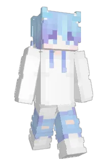 littlDolphin Minecraft avatar full body