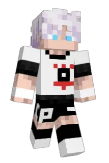 littleguii Minecraft avatar full body
