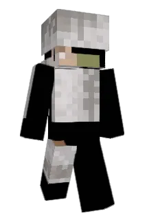 littlelay Minecraft avatar full body