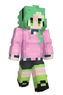 littlepetfrog2 Minecraft avatar full body