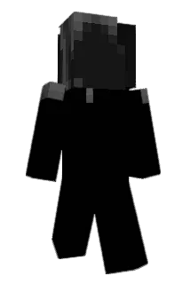 littleronny613 Minecraft avatar full body