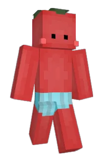 littletomato2004 Minecraft avatar full body