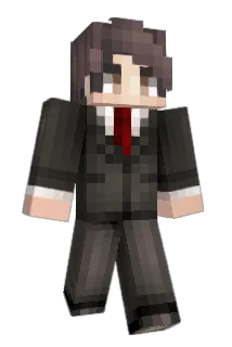 litz56 Minecraft avatar full body